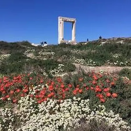 Valentina Lägenhet Naxos City