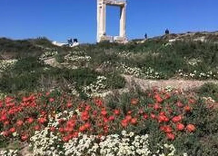 Valentina Апартаменты Naxos City